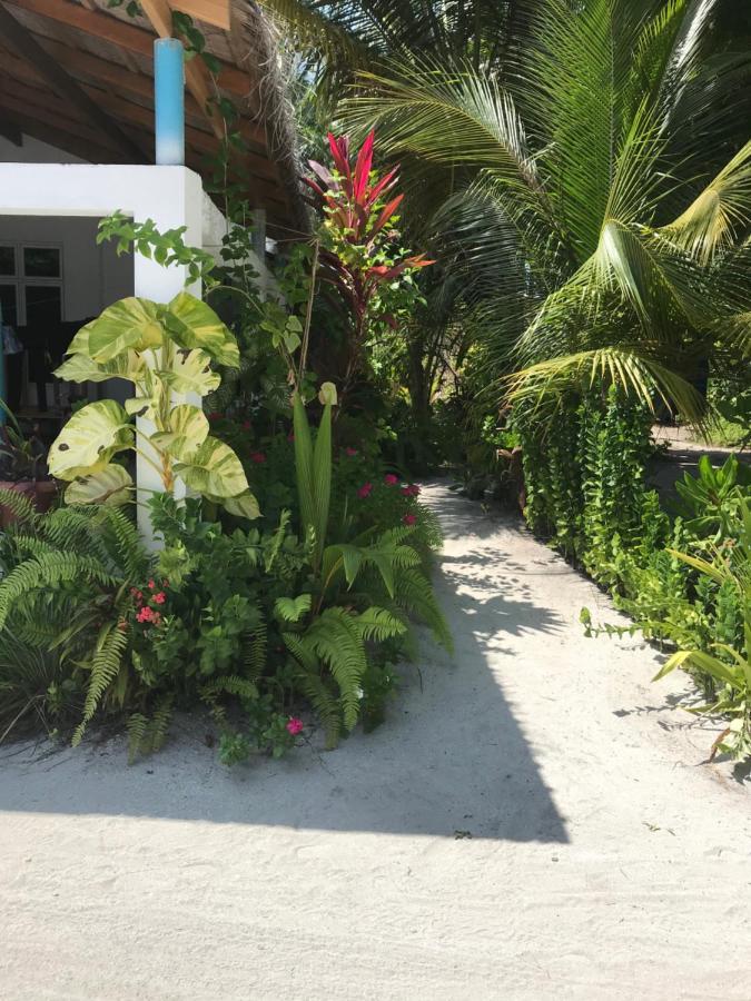 Malas Island View Fulidhoo Exterior foto