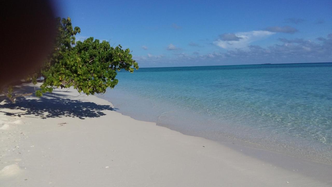Malas Island View Fulidhoo Exterior foto